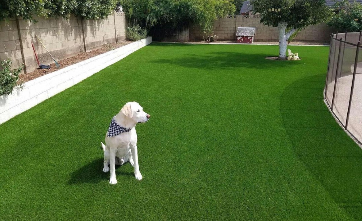 Eco-friendly pet turf installation with dog in Southaven, MS backyard